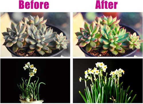 senzační LED lampa pro růst rostlin